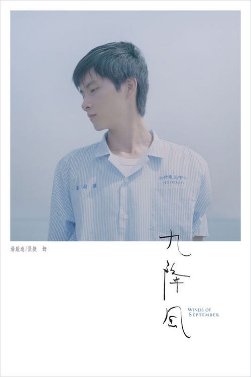 做一个假文凭